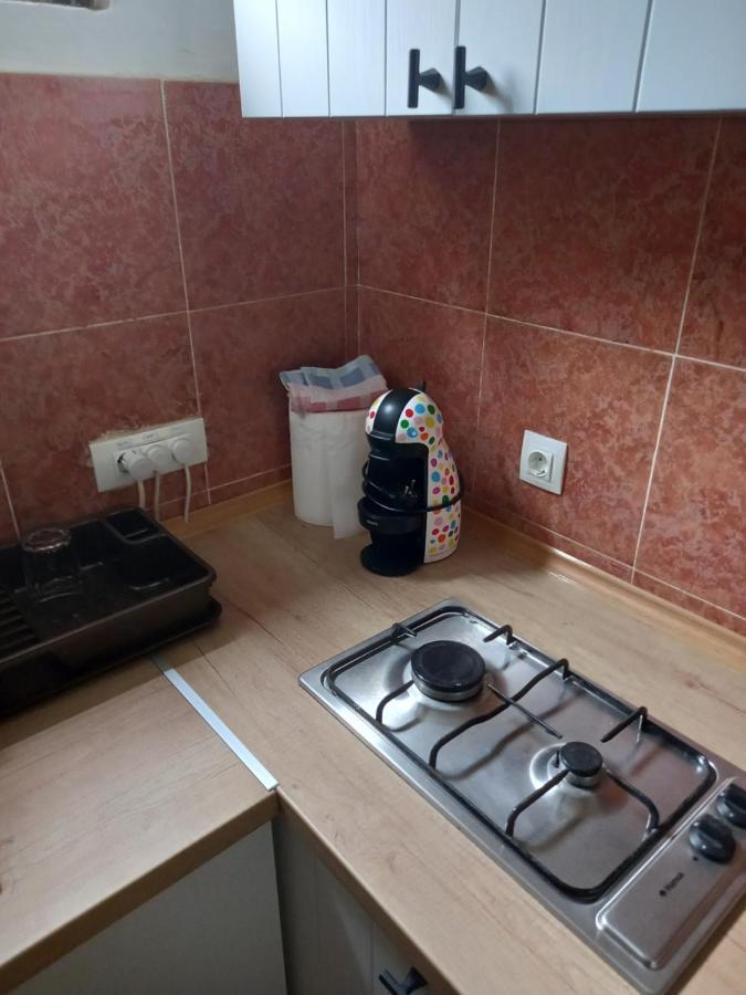 Stan u maslinama Apartment Podgorica Bagian luar foto